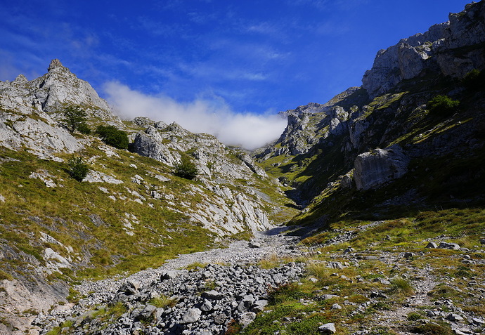 _DSC6984_redimensionar