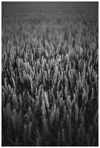 IMG_7570_01