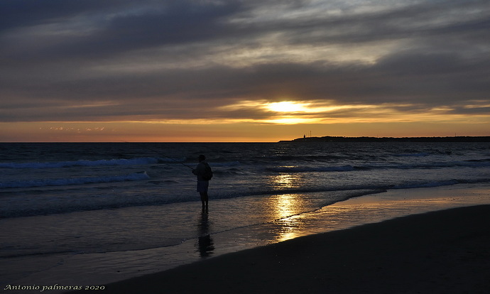 pescando