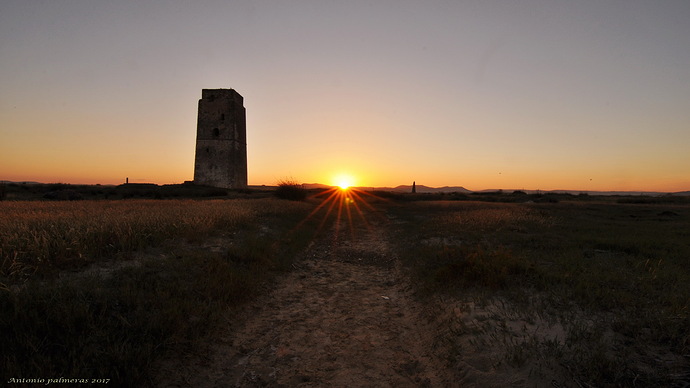 amanece por la torre