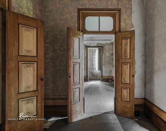 55052464334_b31e7f75b0_b