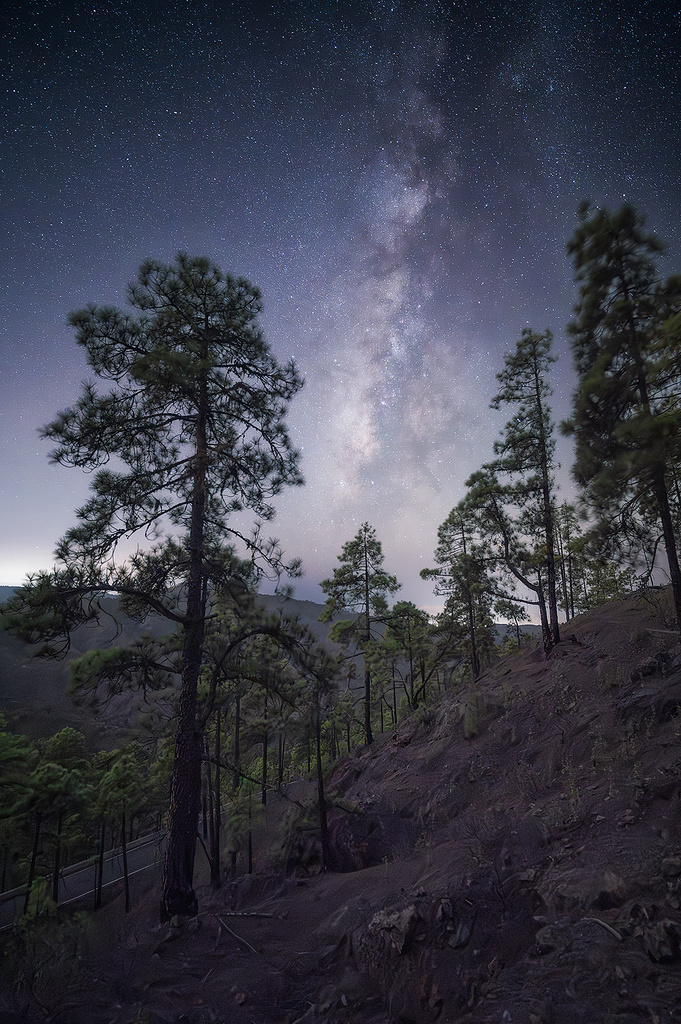 De noche en Tamadaba