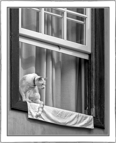 La Ventana 0019
