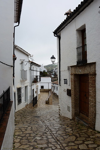 calle mojada