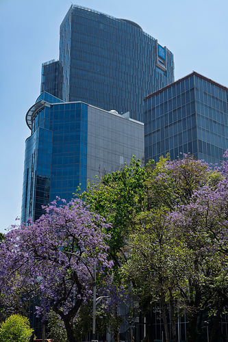 CDMX 4 LG QRoo 03_25