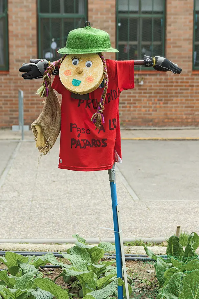 Avecillas y asimilados, abstenerse, por fa