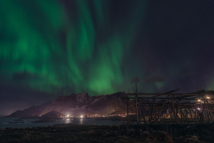 Reine-OD