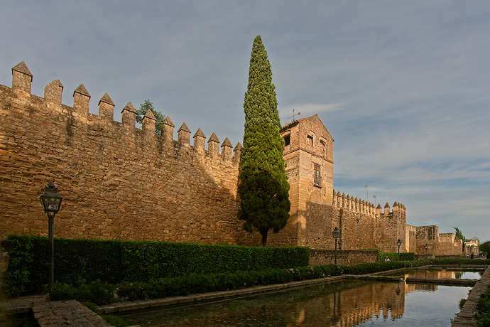 CORDOBA od