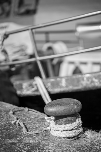 _MG_0745
