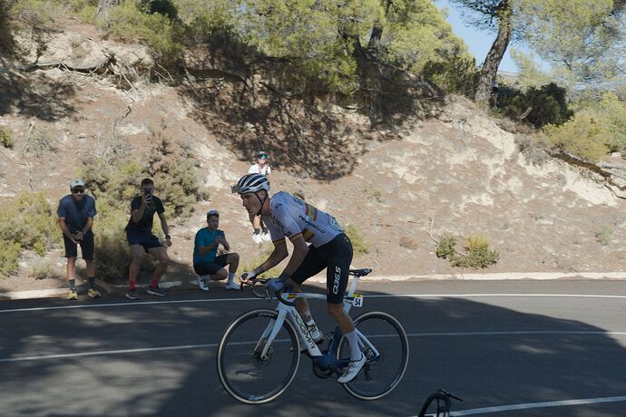 Asfalto, pinos y ciclismo