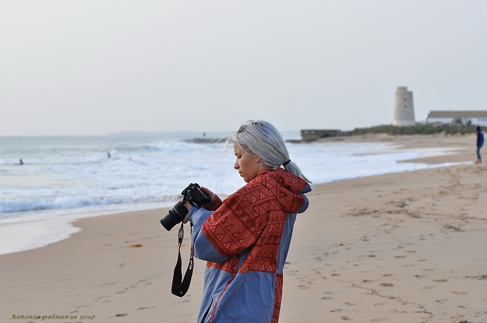 Fotografa del palmar
