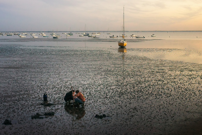 ARCACHON 3 OD