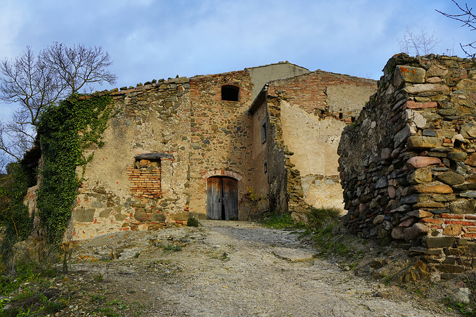 _DSC4380