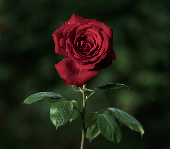 CALAHORRA-2022-PENTACON-135mm-7574