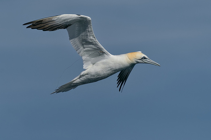 20260222-_MAC gepec f 0744F