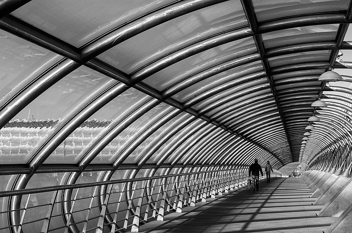 Hay-salida-2014-0051_1