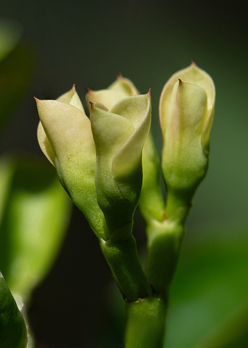 Apilado 1 LG QRoo 04_26