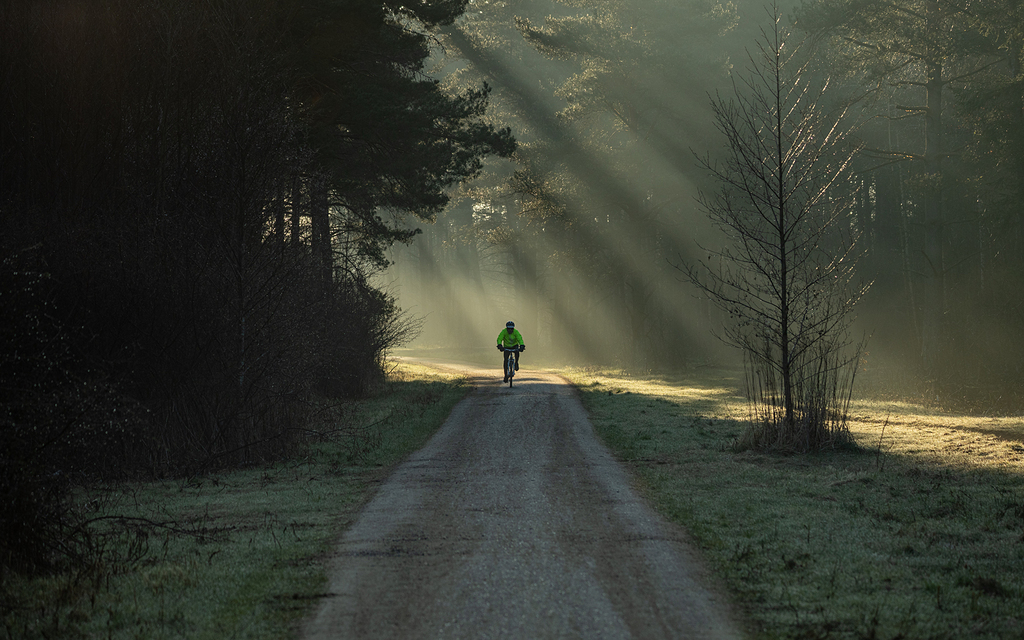 En Algún Lugar De Dinamarca