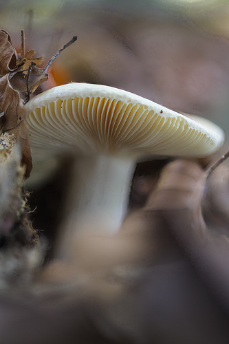 20251011_4805_4825TIF