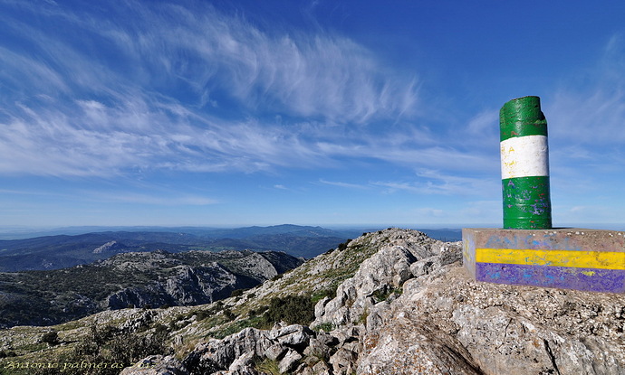 pico la bandera