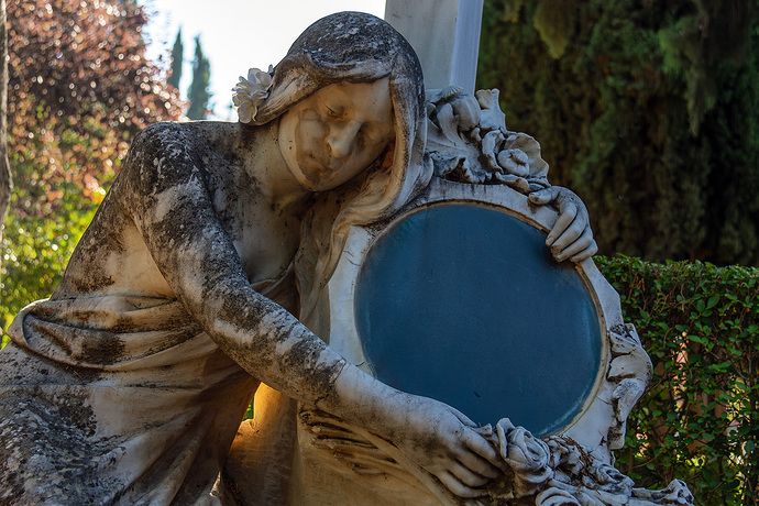 IMG_9005-Mejorado-NR