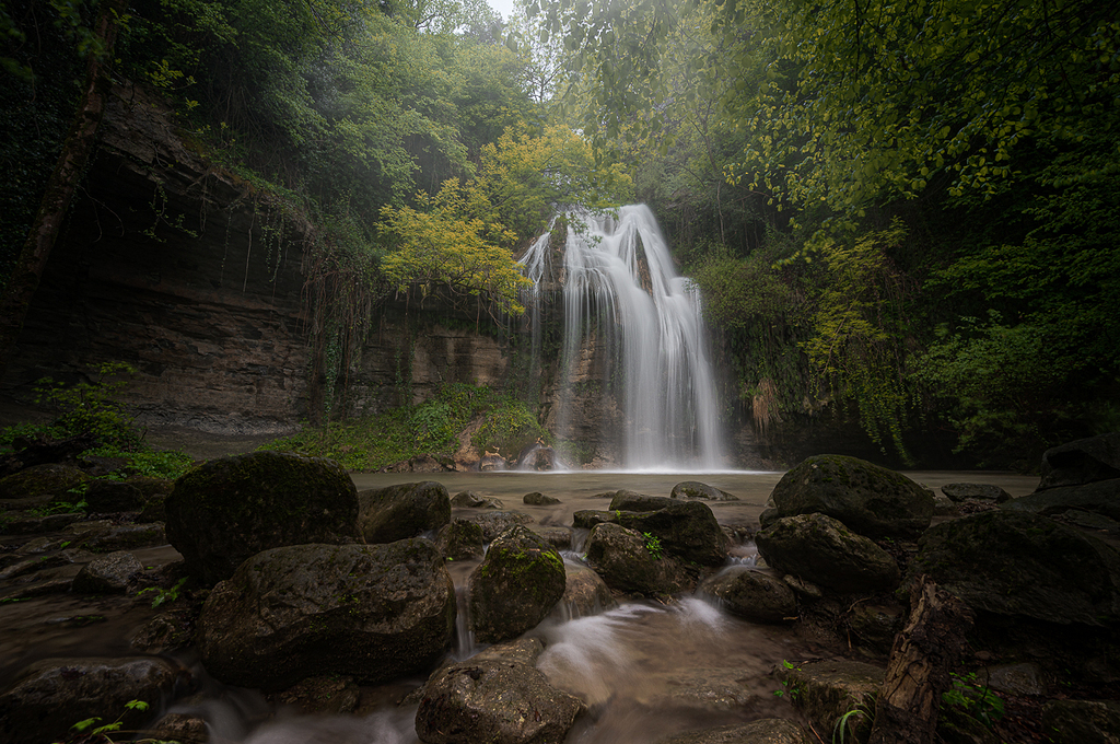 Salt del Roure