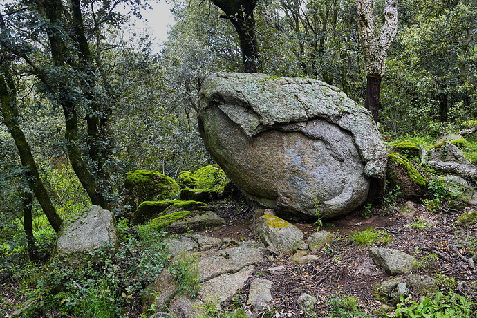 _DSC6300