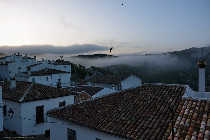 Amanece con nieblas