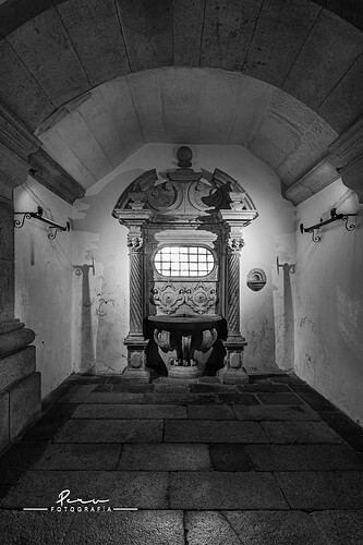 55064403994_efd8060ff4_h