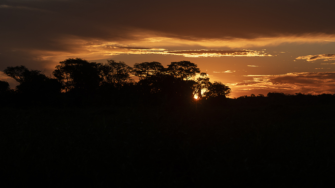 Pantanal 3 LG Br 05_25