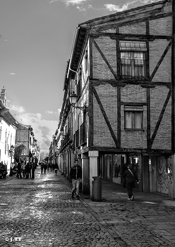 _DSC0339