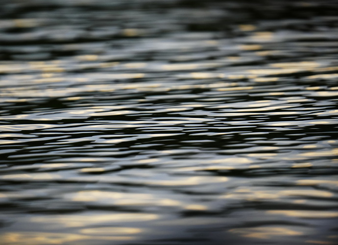 _DSC1431