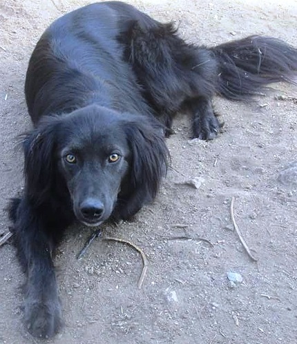 FB_IMG_1508187568949