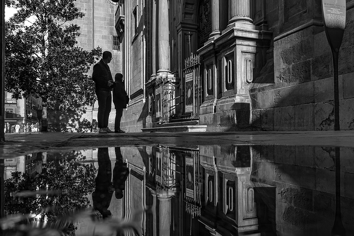 IMG08762-Mejorado-NR