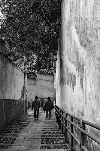 IMG08684-Mejorado-NR