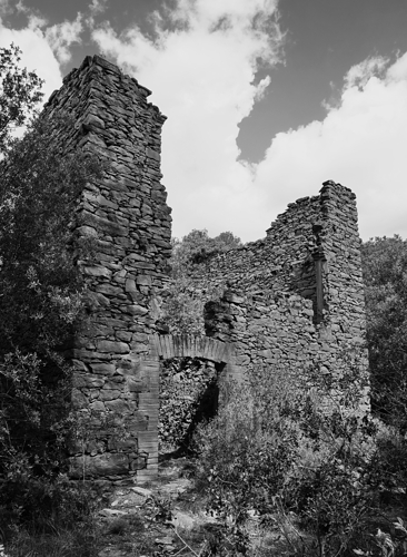 _DSC2921