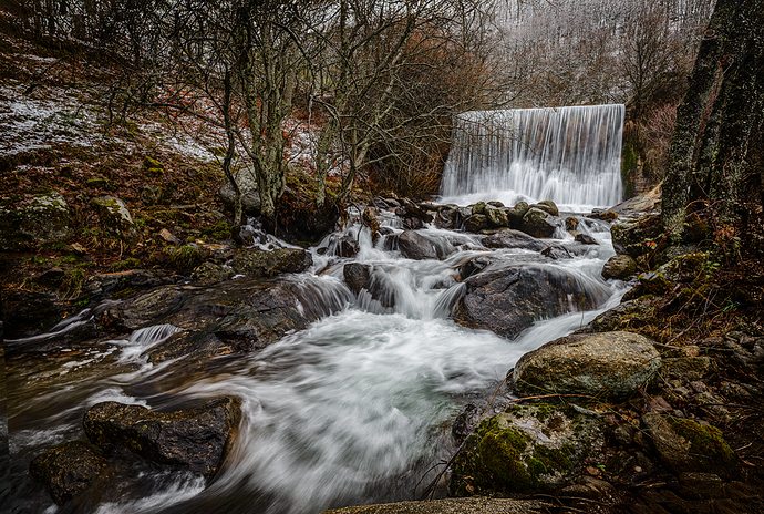 _DSC7690