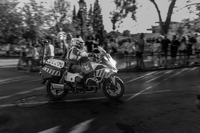 IMG_1342