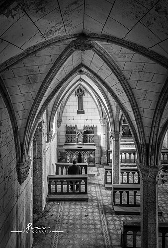 54857253838_1445a157c9_b