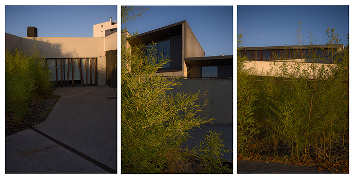 triptikogizarteetxea