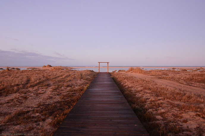 No le pongan puertas al mar