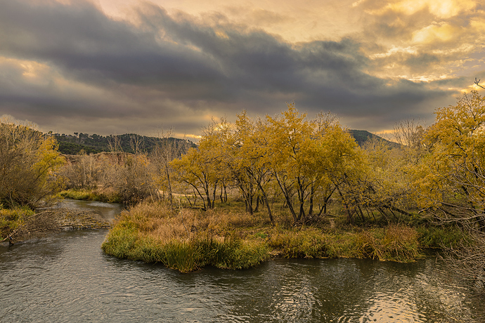 _DSC7202
