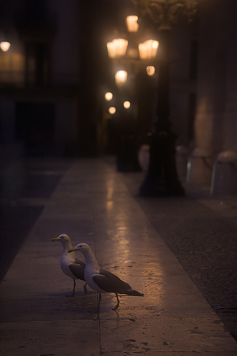20250510_3245