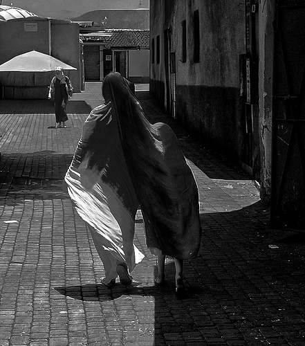 8d50489dcf50fe1d748def4b628856ceo