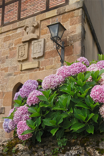 SANTILLANA DE MAR od