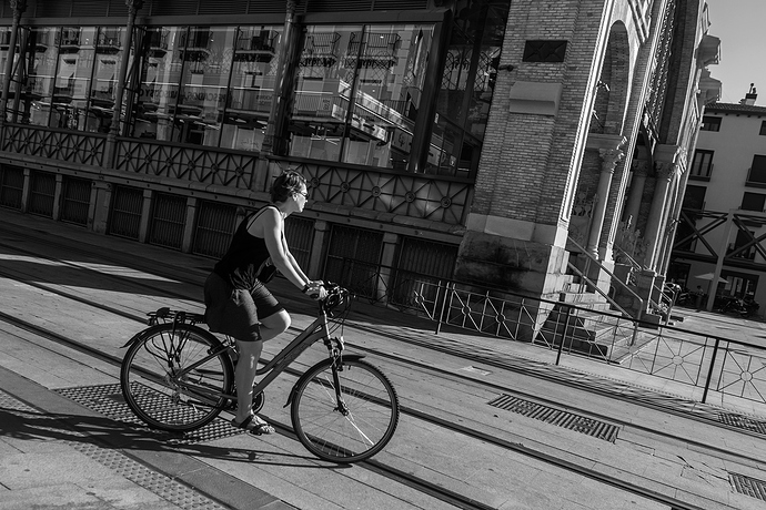 ZARAGOZA-2023-004445