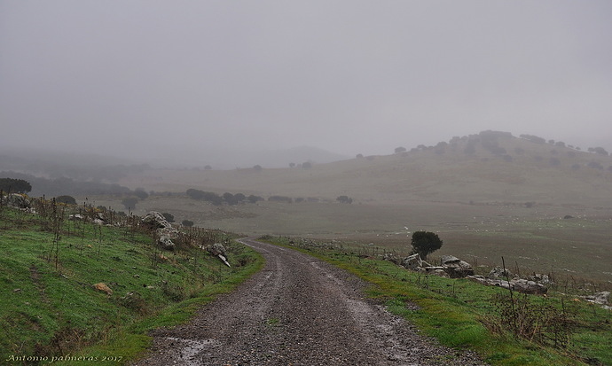 Llano del republicano