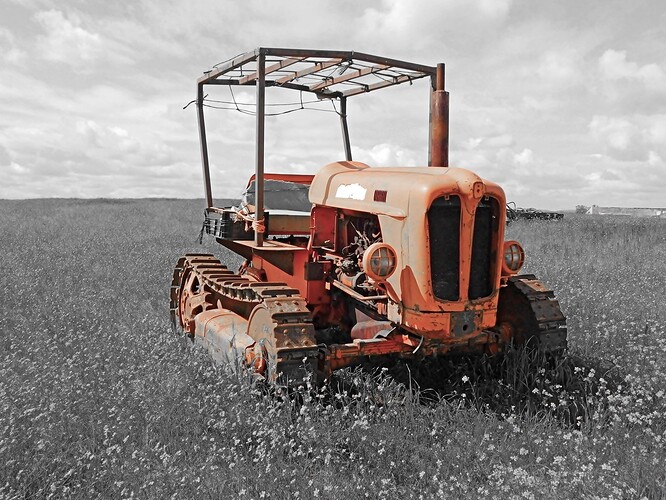 Abandonada
