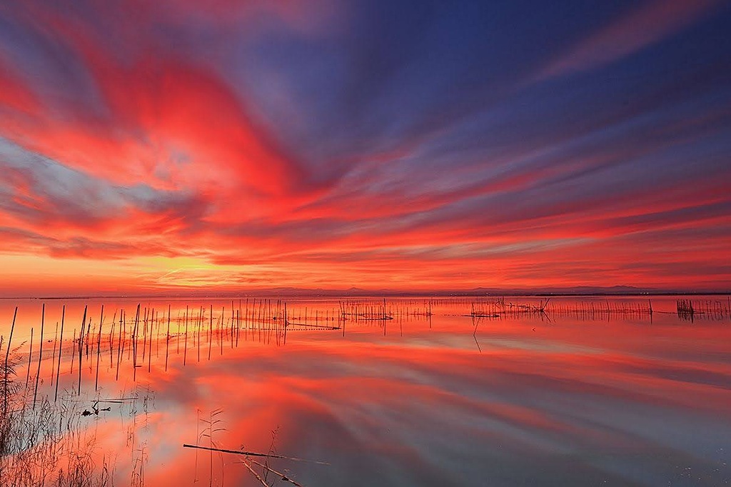 Candilazo en La Albufera Natural Park