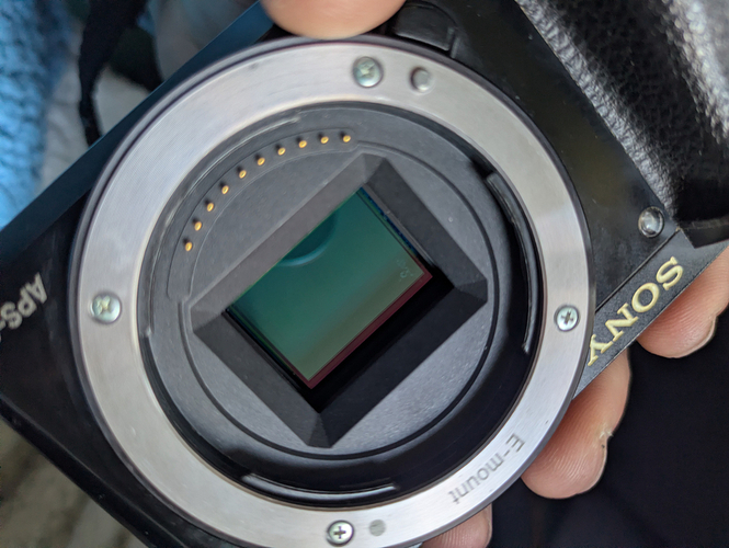 PXL_20260320_080049370